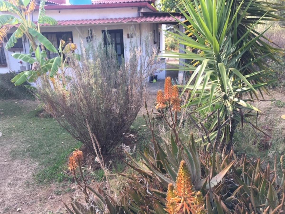El Rincon De San Agustin Etla Hotel Exterior photo