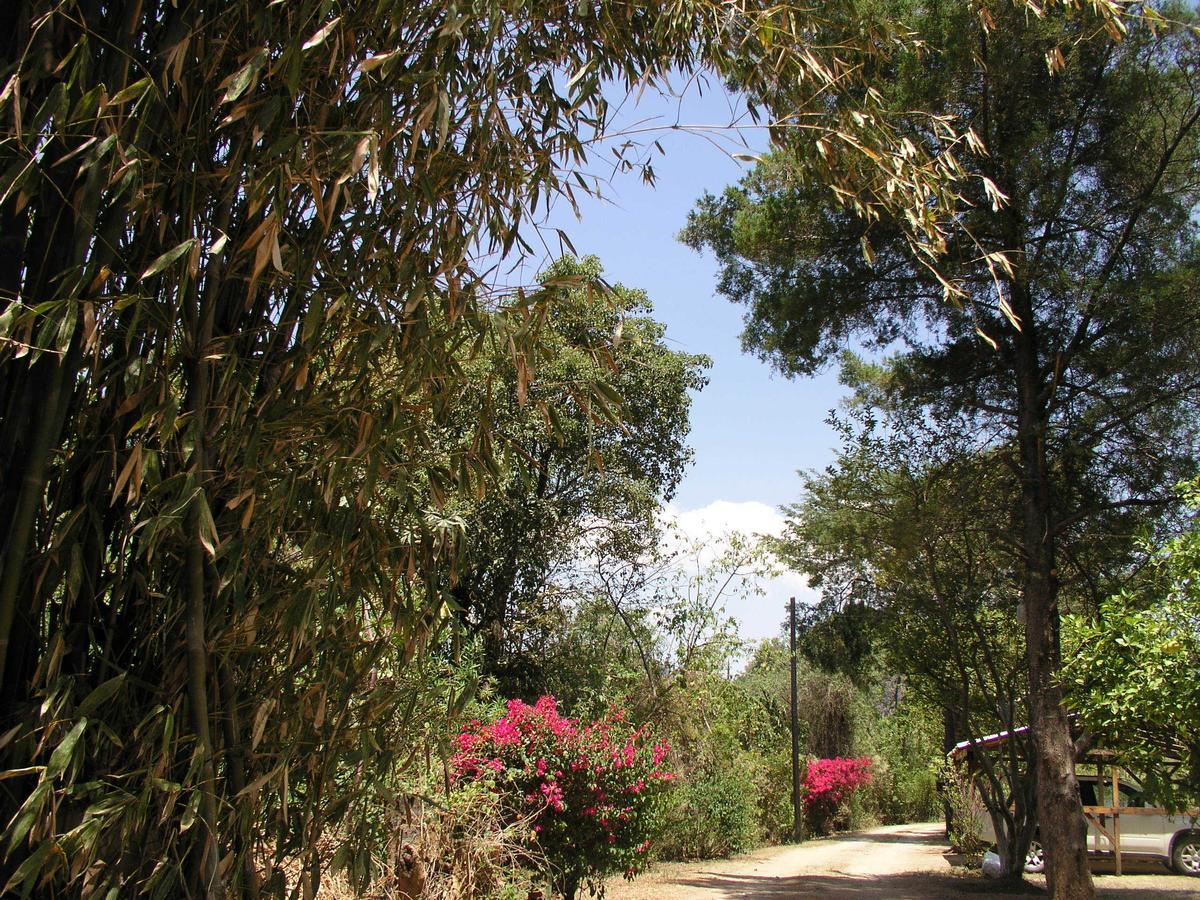 El Rincon De San Agustin Etla Hotel Exterior photo